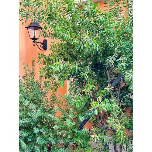 San Giovanni Garden House