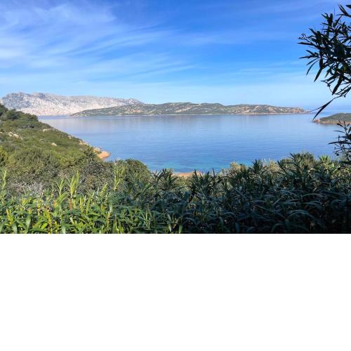 SAN TEODORO PUNTA EST GIARDINO VISTA MARe