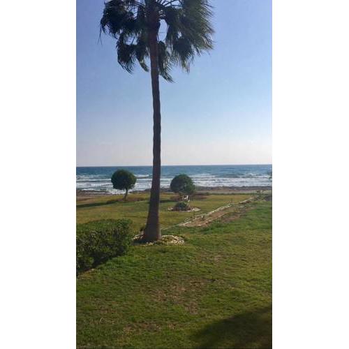 Sandy Beach Villas 21