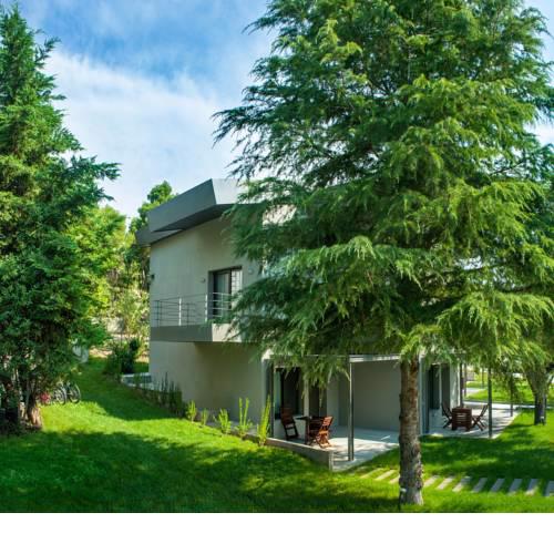 Sani Woods Studios & Apartments