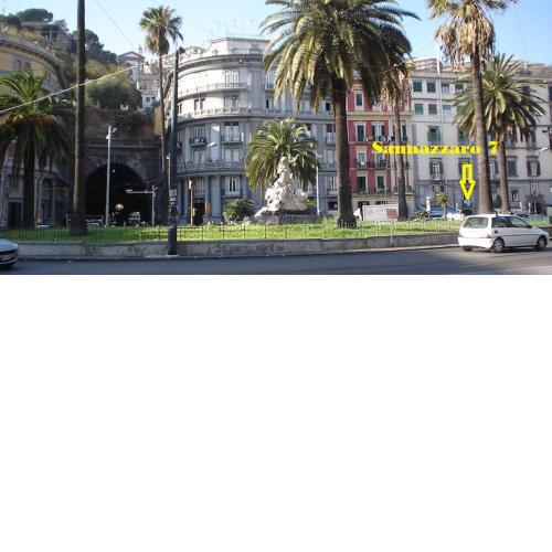 Sannazzaro 7