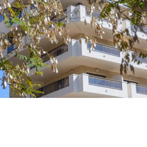 Sant Jordi Zeus Basic