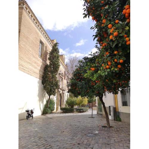 Santa Isabel low cost apartment rooms
