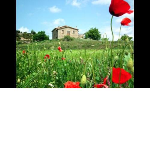 Santa Maria de Merles Villa Sleeps 14 with Pool