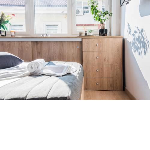 Santolina #colony_near_Aristotelous