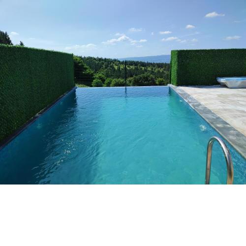 Sapanca Villa Msicina