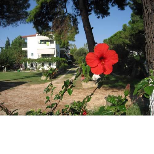 Sapfo Beach Studios