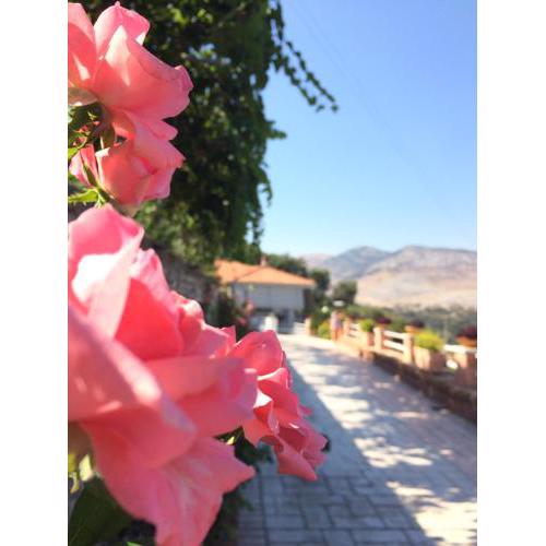 Saranda Landscape