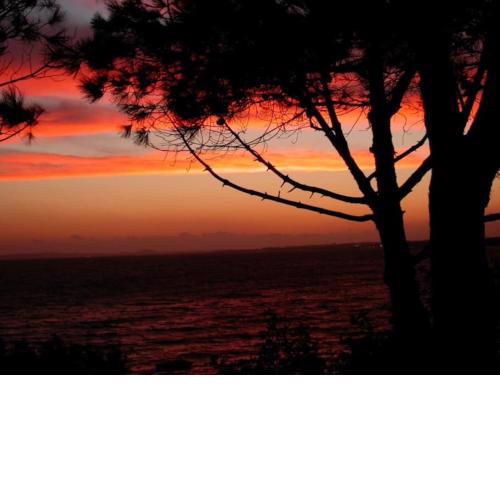 Sardinia Mon Amour