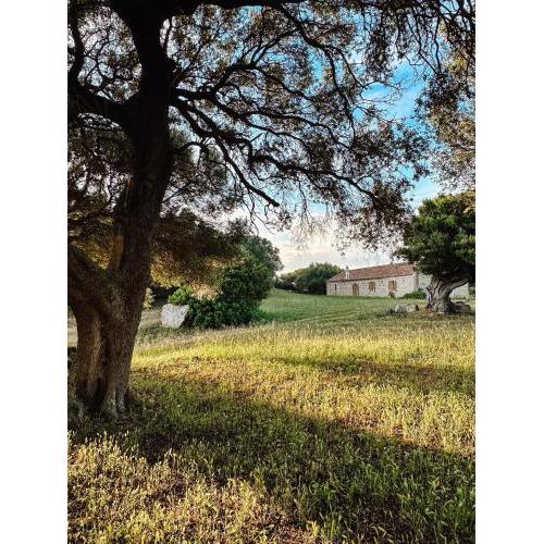 Sardinien - Gallura - Stazzo Lu Naracu