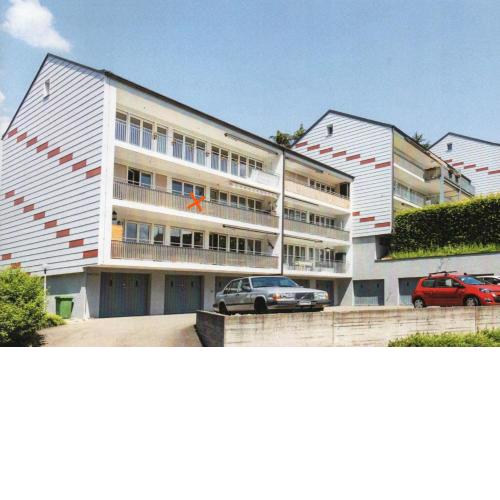 Schaffhausen Munot
