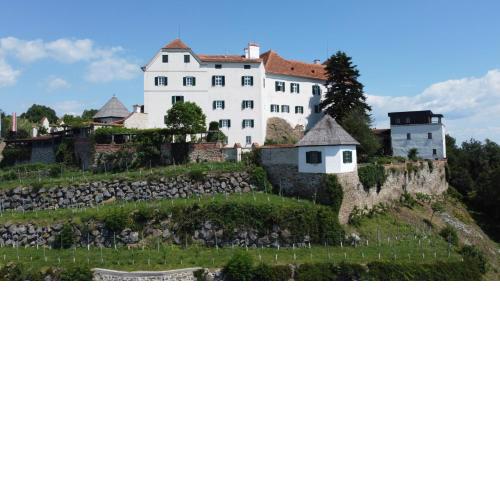 Schloss Kapfenstein