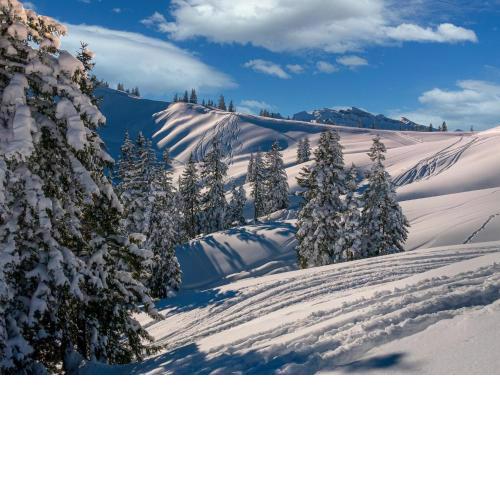 Schmittenblick 1