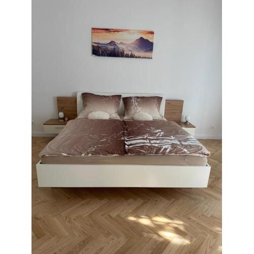 Schöne 2 Zimmer Apartment im Wiener Altbaustil nahe Donaukanal