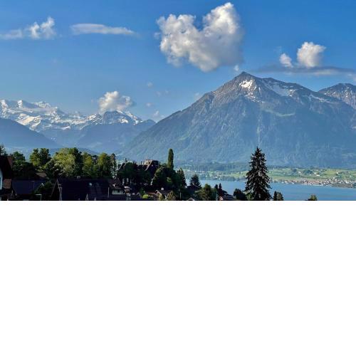Schöne Ferienwohnung mit Seeblick