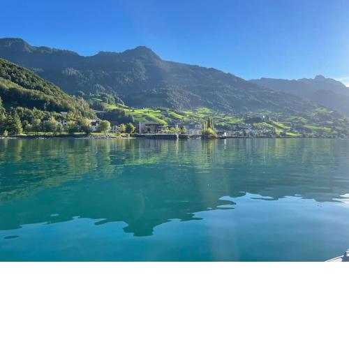 Schöne Wohnung in Unterterzen am schönen Walensee