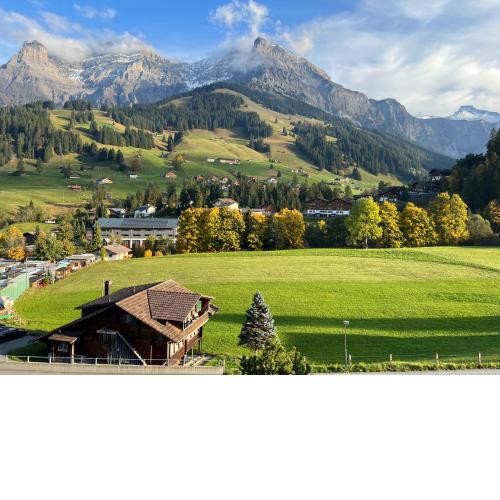 Schönes 2-Zimmer Studio mit grossem Balkon und Bergpanorama - 400m von Talstation Sillerenbahn