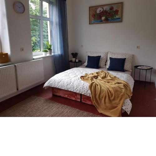 Schupplerova vila