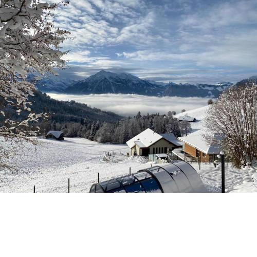 Schwendi-Blueme