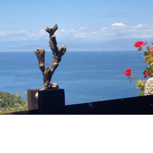 SEA BREEZE STUDIO