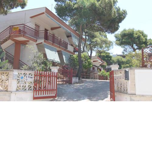 Sea cottage in pinewood