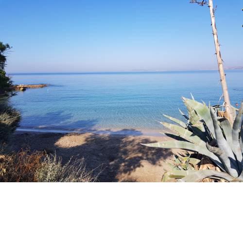Sea Esta On The Beach