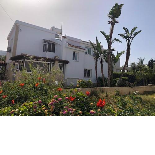 Sea front villa