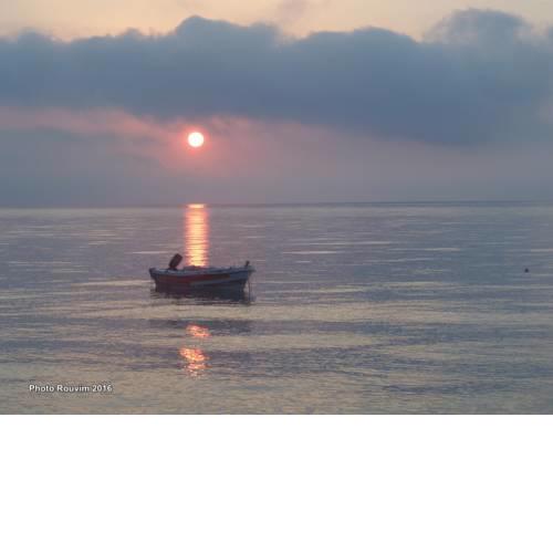Sea Harmony