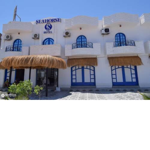 Sea horse hotel