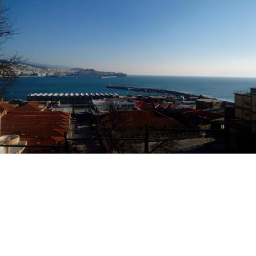 Sea La Vie*