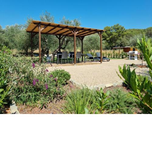 Sea & Olive trees