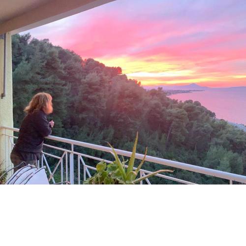 Αμφιθεατρική sea view - Oropos