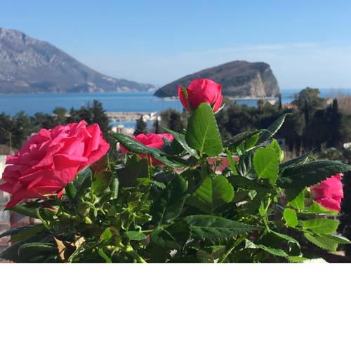 SEA VIEW & BUDVA