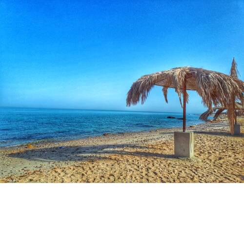 Sea view chalet (Families only)