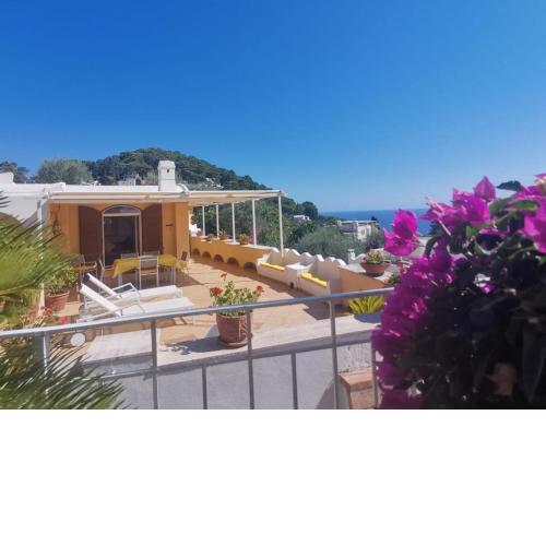 Sea View con terrazza e giardino