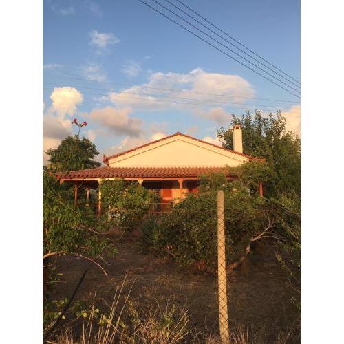 Sea View Cottage