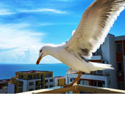 Sea View Panoramic Apartments, Fort Noks Grand Resort