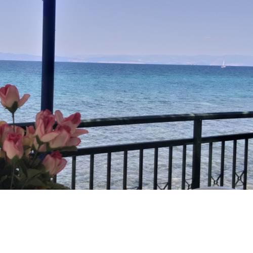 Sea View Studios