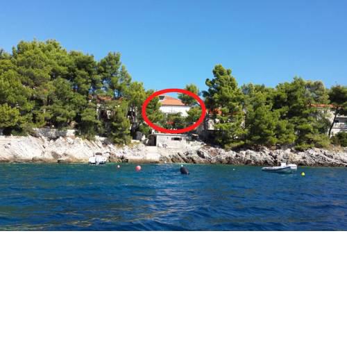 Seaside holiday house Brna (Korcula) - 9296