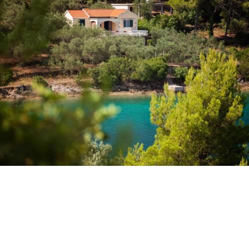 Seaside holiday house Cove Gabrica (Korcula) - 17195
