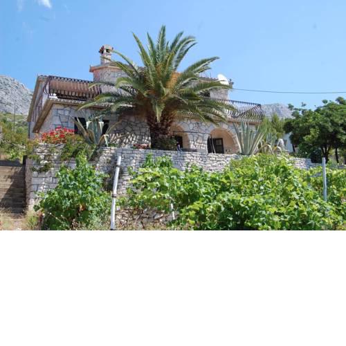 Seaside holiday house Ivan Dolac (Hvar) - 12958