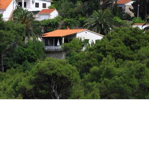 Seaside holiday house Postira (Brac) - 13001