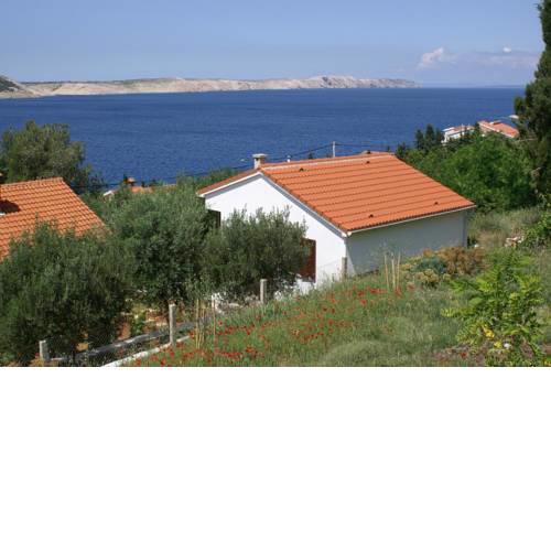 Seaside holiday house Stara Novalja (Pag) - 4152