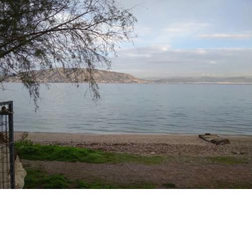 SEASIDE STUDIO