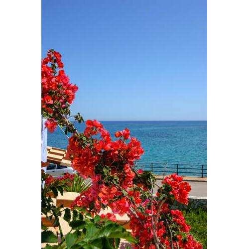 Seaside Studios