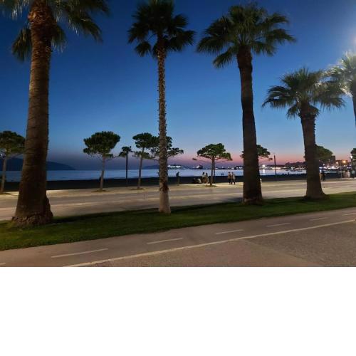 Seaside view 1