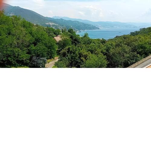 Seaview Home