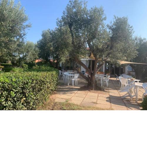 Seaview with sport club and private beach services