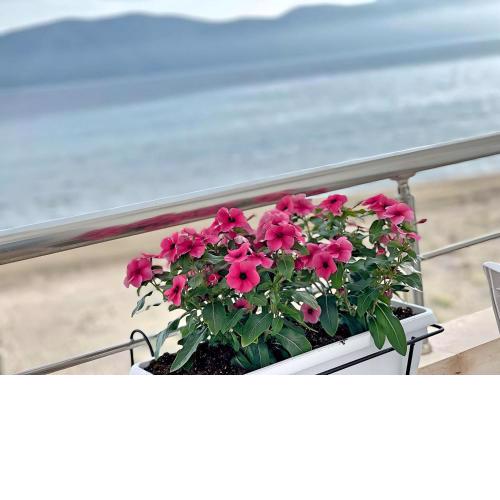 SeaView