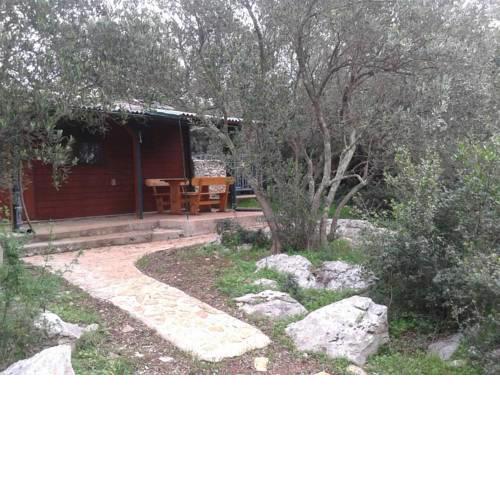 Secluded fisherman's cottage Cove Komornik (Pasman) - 14801